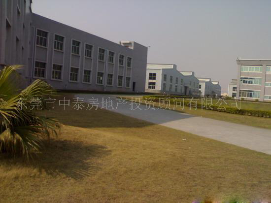 大岭山厂房出租,出售,钢结构厂房,出租,转让,