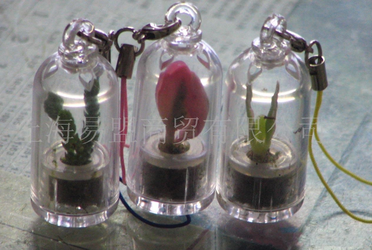學生禮品，學校贈品，奧運飾品，奧運禮品