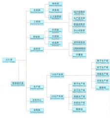 公司组织结构图