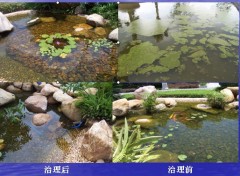 水池,池塘等) 4,大型亲水社区景观水体,喷泉水体(景观水体循环