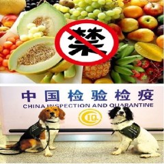  入境 旅客禁带果蔬旅游资讯 出入境 携带物管理办