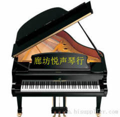 SK-2  廊坊鋼琴SK-2