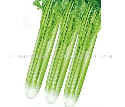 芹菜种子-海商网,其他蔬菜产品库