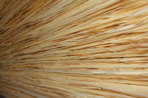 辐射松木皮经销商供应库-海商网,木料和胶合板