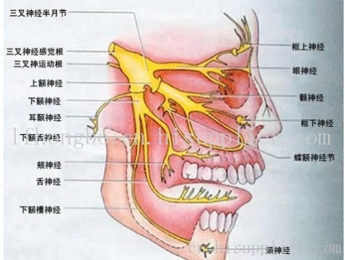 三叉神经痛的病因 三叉神经痛主要原因