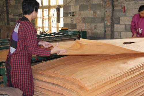 辐射松木皮批发哪家好供应库-海商网,木料和胶