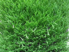 50MM PE 菱形单丝足球场用人造草坪
