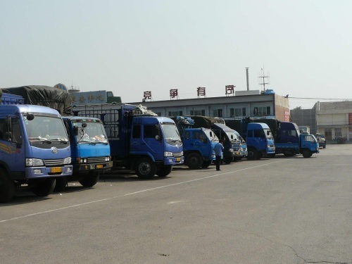 郑州到永年物流公司