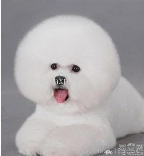 专业美容师培训学校-海商网,其他服务产品库