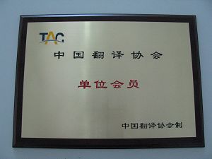 河南專業工程翻譯公司