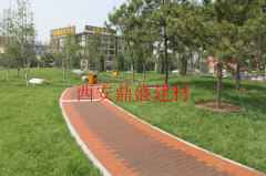 陕西地区马路砖