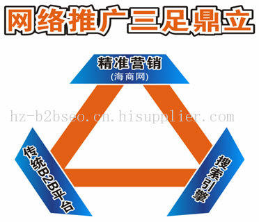 杭州网络公司外贸推广效果