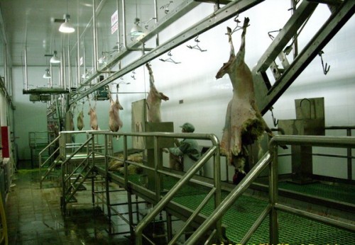 屠宰设备及肉类初加工设备