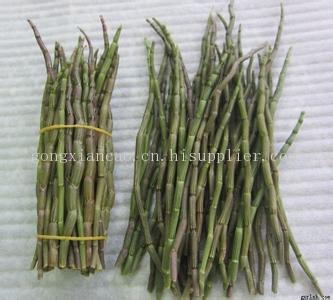 吃铁皮石斛-海商网,其他农业食品产品库