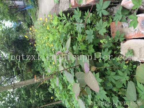 重庆企业员工培训内容详细-海商网,娱乐产品库