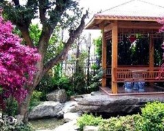 小庭院植物景观设计