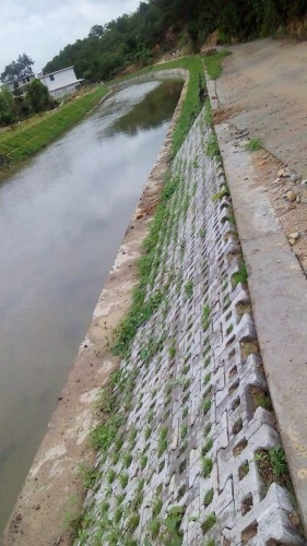 河道生态护坡砖