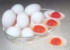 廣西海鴨蛋批發