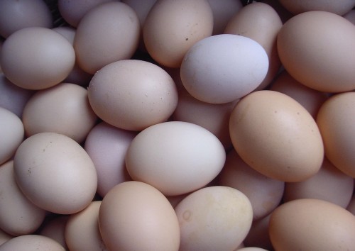 南寧市雞蛋銷售