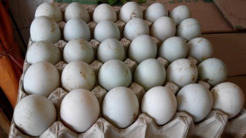 咸鸭蛋的营养价值有哪些，你一定要了解
