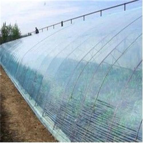 大棚膜滴水怎么办?用这种方法,既实惠又好用