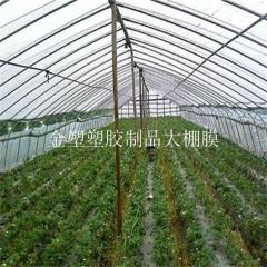 贵州大棚膜
