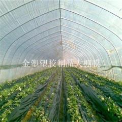 贵州塑料大棚膜