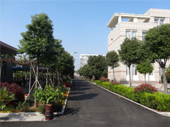 http://images.hisupplier.com/var/userImages/201501/26/111003522623_240.jpg