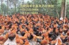 贵州土鸡养殖 供应价格
