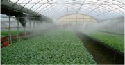 温室大棚建设之温室蔬菜的施肥技巧