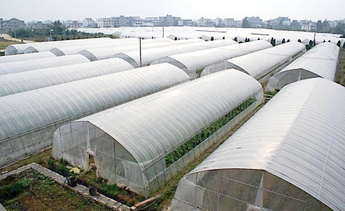 贵阳玻璃温室大棚采用立柱无土栽培法的要点