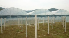 贵州塑料温室大棚