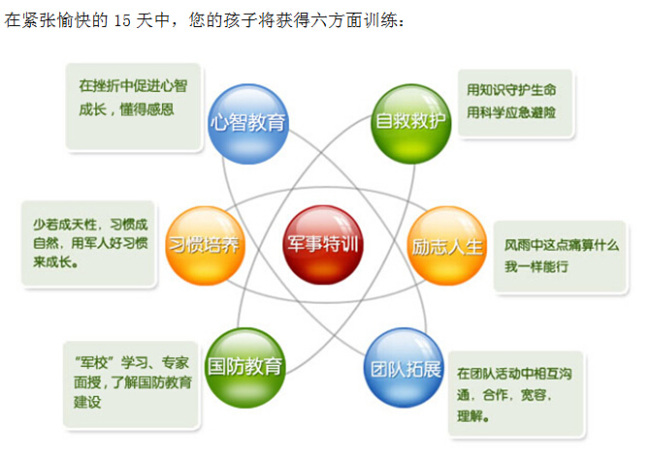放飞少年的歌词和歌谱