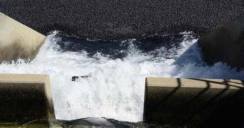 美国加州向水库投入9600万遮阳球 覆盖水面减少蒸发