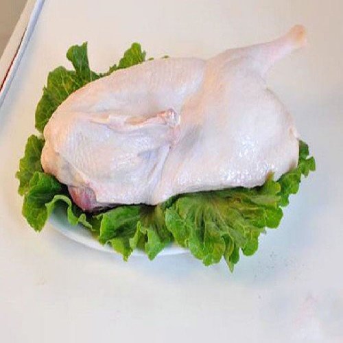 ΫıѼ Ѽļ    ڱ԰ʳƷ