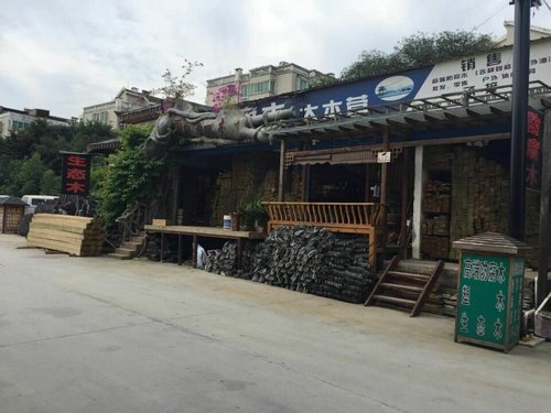 绿植与环境