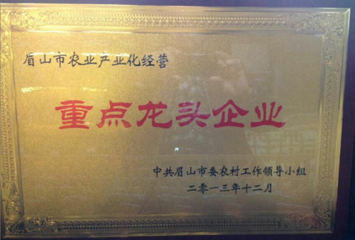 鑫丰果业