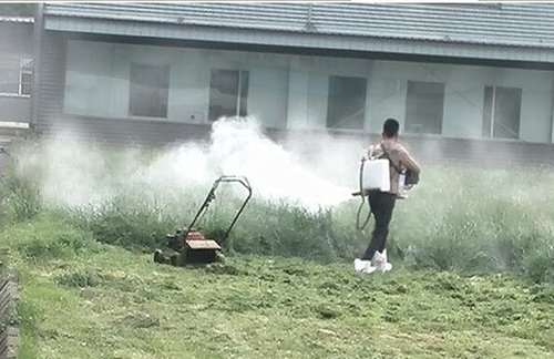 眉山灭鼠是用什么药