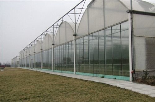 大棚建设的一般性建议