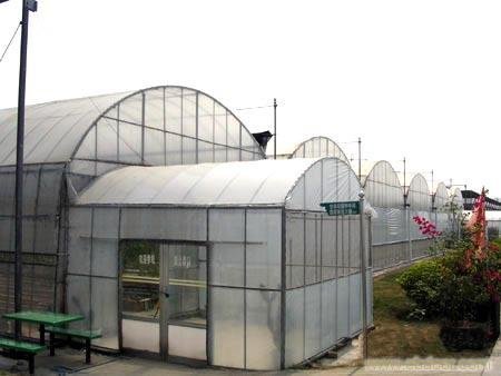 温室工程的保修期限和范围是怎么界定的?