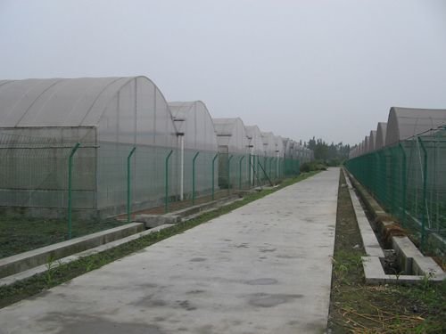 温室大棚需要具备哪些要求