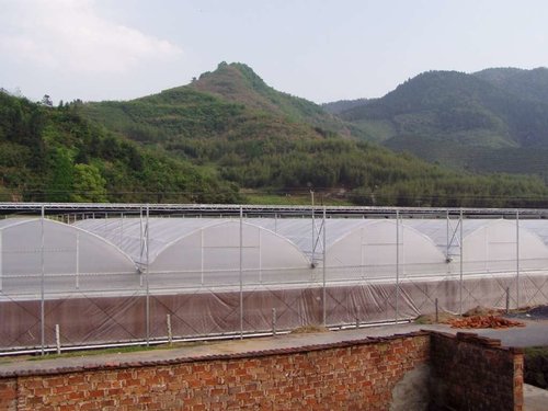 新式温室大棚建设的注意事项