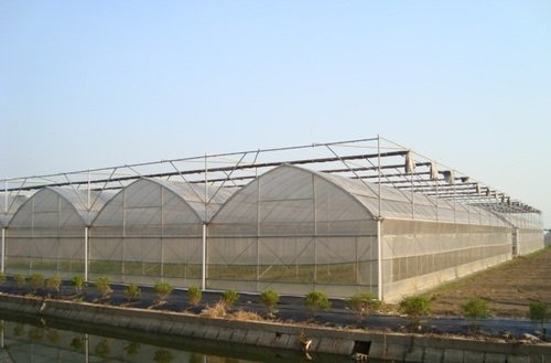温室大棚蔬菜受冻后措施
