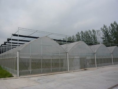 温室工程在生活中有着重要作用
