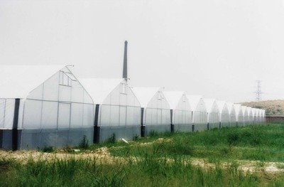 分析温室建设需要注意的事项