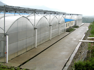 几种在大棚建设时常用的大棚骨架类型