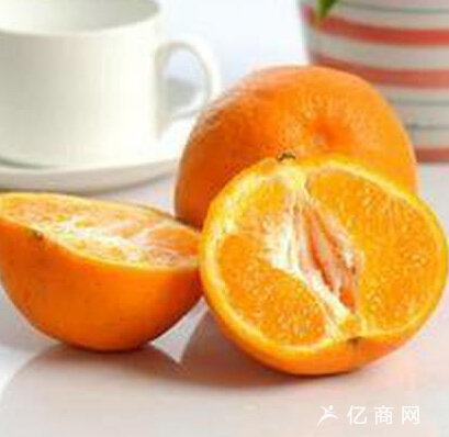 夏季柑桔园的管理