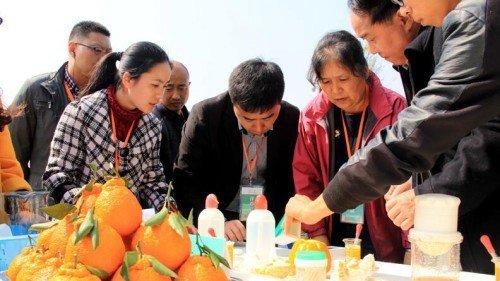 中国桔橙产业发展高峰论坛在眉山丹棱召开
