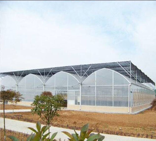 大棚菜地施肥要注意土壤变化