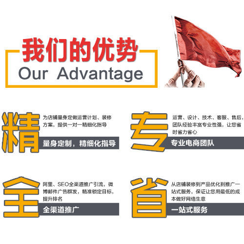 专业优势